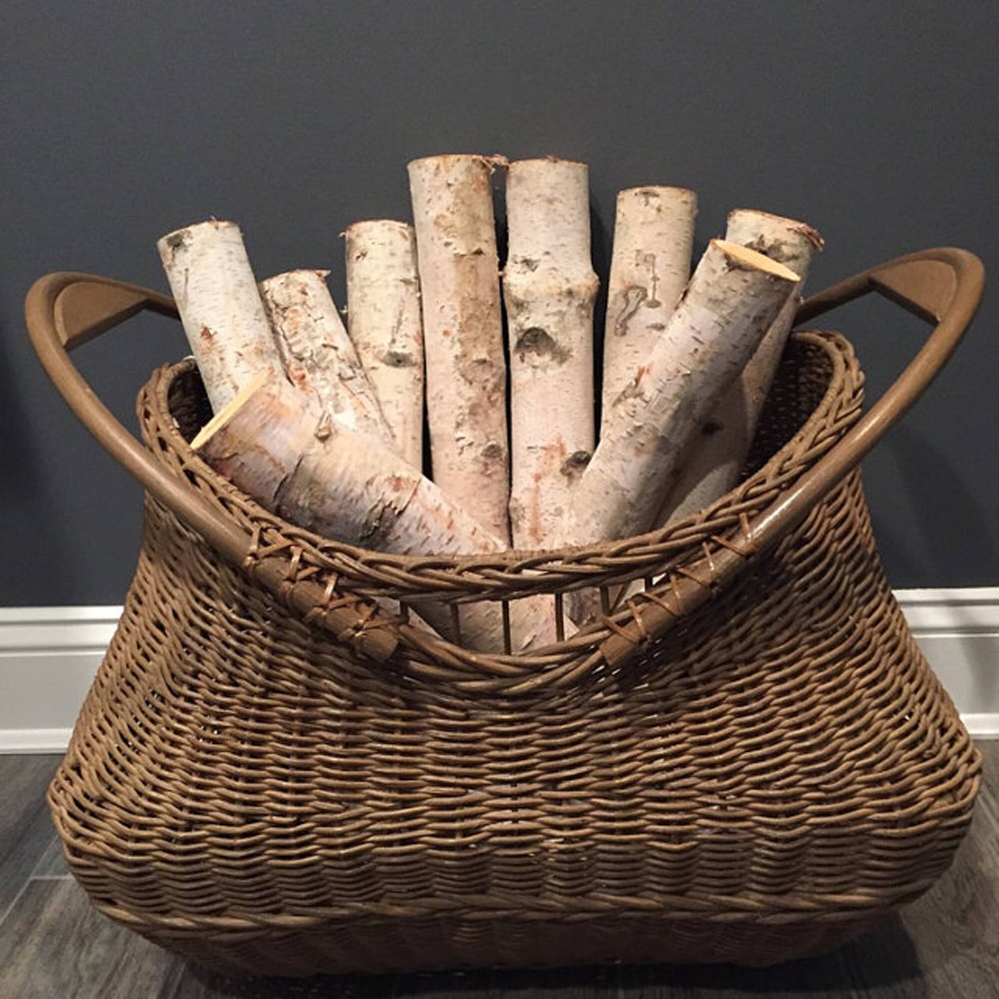 Wilson® Enterprises 5"-6" Large White Birch Fireplace Set, 5ct.